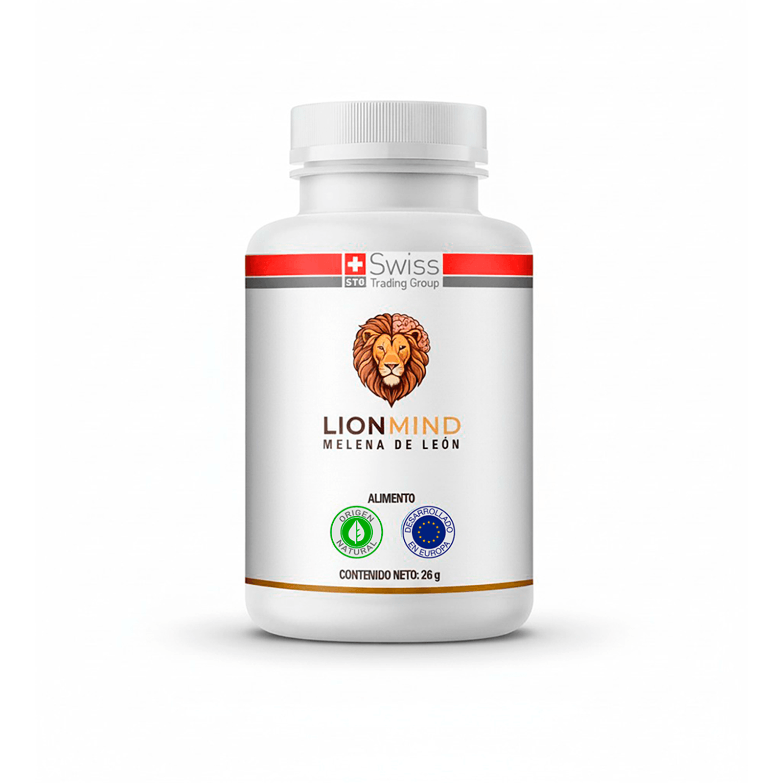 Gray helmet for bikers